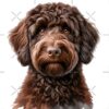 flat750x075f pad750x1000f8f8f8 9 - Goldendoodle Gifts
