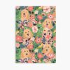 mp840x830mattef8f8f8t pad1000x1000f8f8f8 5 - Goldendoodle Gifts